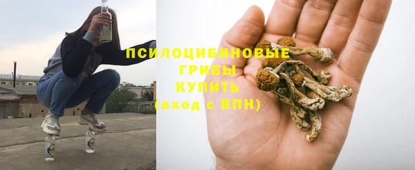 ГАЛЛЮЦИНОГЕННЫЕ ГРИБЫ Армянск